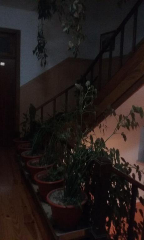 Pensao Avenida Otel Penacova Dış mekan fotoğraf
